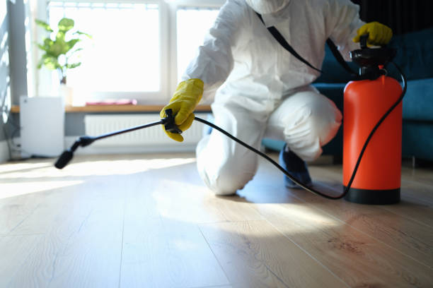Affordable Sewage Cleanup solutions in Charlottesville, VA